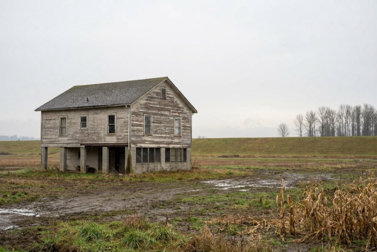 Elevation Certificate - FEMA flood zone and insurance